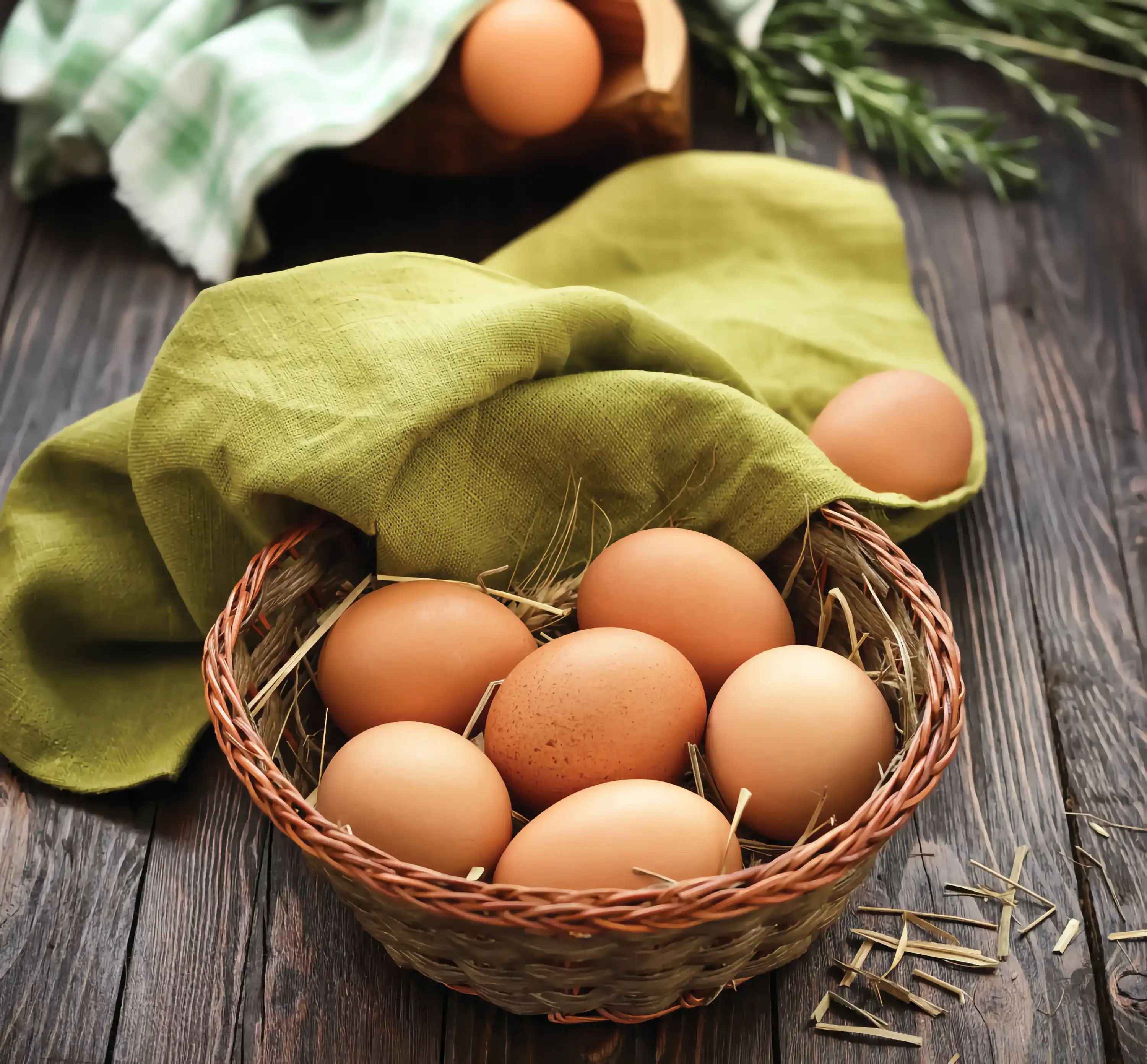 PA Nature Organic Healthy Groceries Montréal Contact