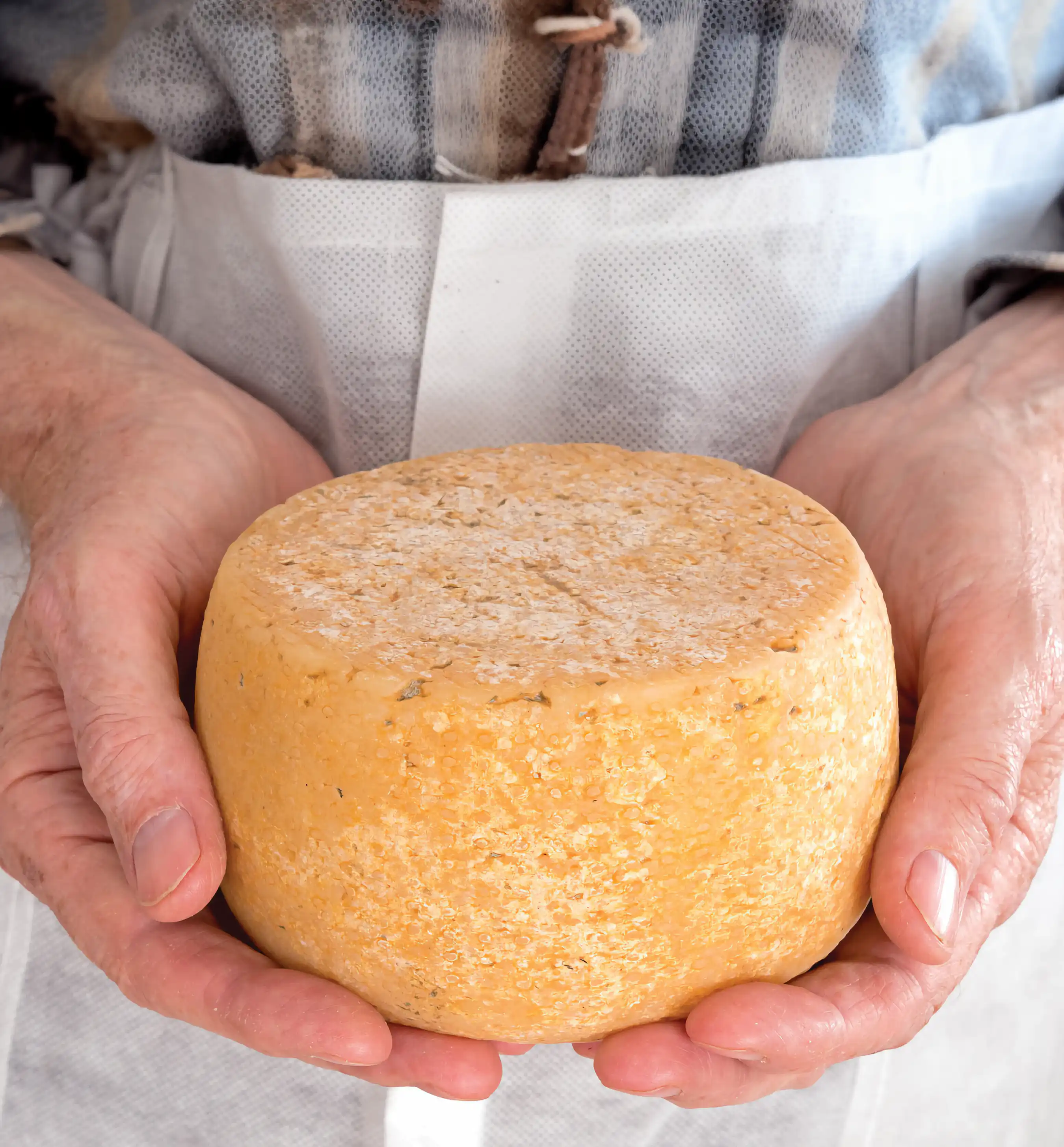 PA Nature Organic Healthy Groceries Montréal Delivery Online Ordering