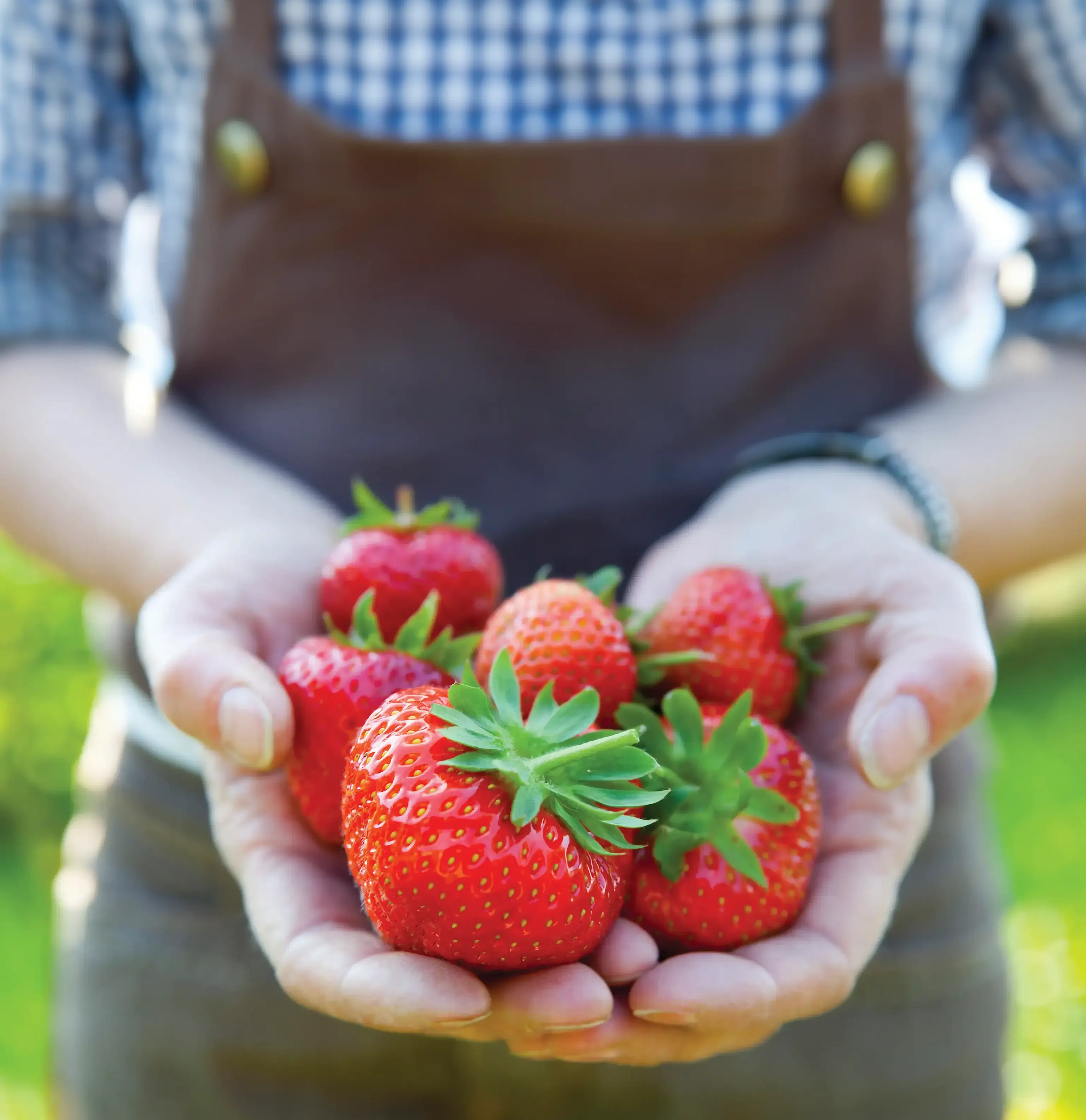 PA Nature Épicerie Bio, Santé Montréal, Spéciaux circulaire