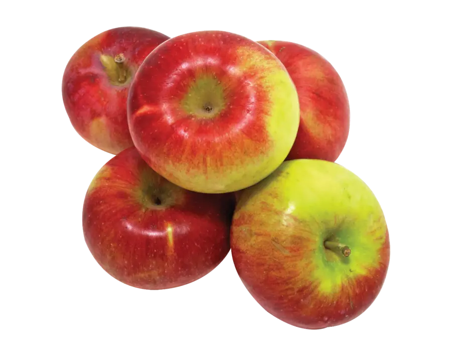 Organic Spartan or McIntosh Apples